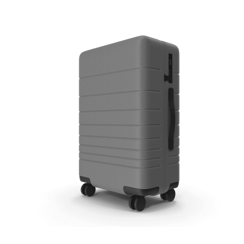 Gray Suitcase