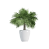 Plant Decor 02
