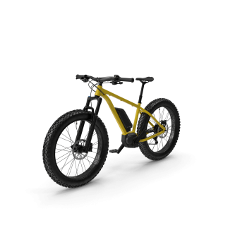 Electric Fat Bike