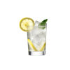 Gin & Tonic