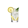 Gin & Tonic
